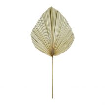Branchage Palmier Naturel 40xh80cm Feuille de Palmier - SEMA Design