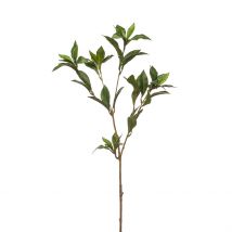 Branche Artificielle Laurier H90cm - Emerald