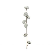 Branche Fleur de Coton en Plastique Blanc H100cm - Everlands