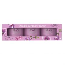 Coffret 3 Bougies Signatures Votives Orchidee Sauvage - Yankee Candle