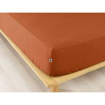 Drap Housse en Flanelle Tomette 160x200cm - Candice - L'effet Papillon