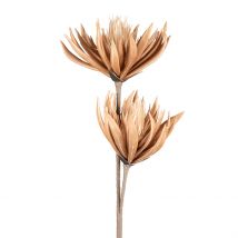 Fleur Artificielle Brun H97cm - Fleur - Côté Table