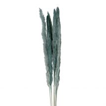 Fleur Pampas X6 Emeraude H75cm Vegetal - SEMA Design