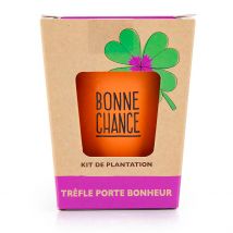 Kit Message Bonne Chance - Trèfle à 4 Feuilles - Radis et Capucine
