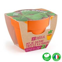Mini Kit D6cm Terre Cuite Trèfle 4 Feuilles - Radis et Capucine