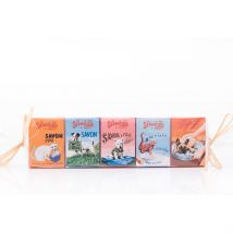 Papillotte de 5 Savons 25g en Etuis Chat/chien - La Savonnerie de Nyons