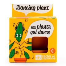 Pot D8cm avec Coupelle Plante Qui Danse - Radis et Capucine