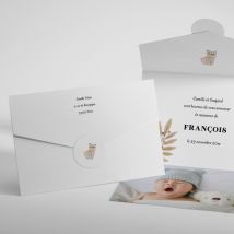 Faire-part de naissance Miaou - Divers coloris - Format: Pochette Enveloppe (17,4 x 11,8 cm) - Conception sur-mesure avec expertise - Faire-Part