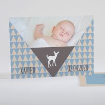 Faire-part de naissance Triangle paysage - Divers coloris - Format: Rectangle - Conception sur-mesure avec expertise - Faire-Part Élégant