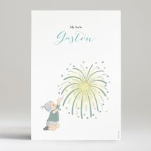 Affiche Feu d'artifice - Divers coloris - Format: Affiche - Conception sur-mesure avec expertise - Faire-Part Élégant