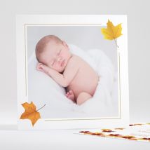 Faire-part de naissance Feuilles d'automne - Divers coloris - Format: Carré - Conception sur-mesure avec expertise - Faire-Part Élégant