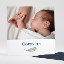 Faire-part de naissance Branche de pin - Divers coloris - Format: Carré - Conception sur-mesure avec expertise - Faire-Part Élégant