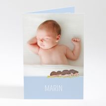 Faire-part de naissance Hérissons en famille - Divers coloris - Format: Rectangle livret - Conception sur-mesure avec expertise - Faire-Part Élégant