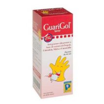 Guarigol Spray 20ML