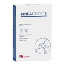 Pineal Notte 24CPR
