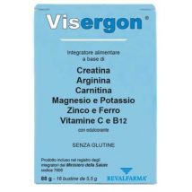 Visergon 16BUST