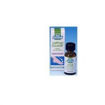 Callifugo Ciccarelli +Pennello