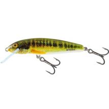 Salmo Minnow Crank Bait Floating - 5cm Holo Real Minnow