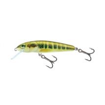Salmo Minnow Crank Bait Floating - 5cm Spirlin