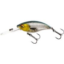 Westin BuzzBite Crankbait Lure 4cm 4g Low Floating - 3D Headlight