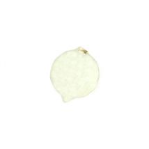 Tronix Fishing Pop Up White - 10mm