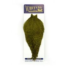 Whiting American Rooster Cape - Grizzly Dyed Dark Olive