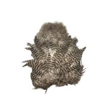 Whiting Rooster Soft Hackle Chickabou Grizzly Dyed - Heron Grey