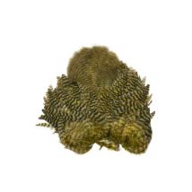 Whiting Rooster Soft Hackle Chickabou Grizzly Dyed - Olive
