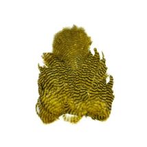 Whiting Rooster Soft Hackle Chickabou Grizzly Dyed - Golden Olive