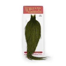 Whiting Pro Grade Cape - Grizzly Dyed Olive