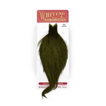 Whiting Pro Grade Cape - Grizzly Dyed Dark Olive