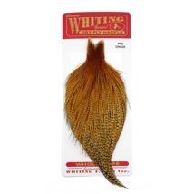 Whiting Pro Grade Cape - Barred Dark Ginger