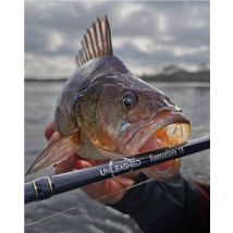 PredatorZone Unleashed FinesseStyle 18 Perch Rod