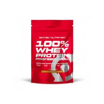 100% Whey Professional (500g) Haselnuss-schokolade - Whey Protein