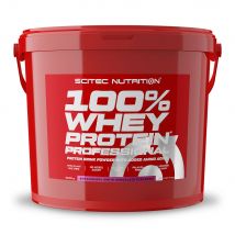 Scitec Nutrition - 100% Whey Professional 5kg - Poudre Goût Fraise Chocolat Blanc - Fitadium