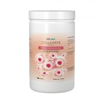 Yam Nutrition - Collagène Type 1 1,8kg - Poudre Goût Fruits des Bois - Fitadium