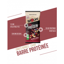 Biologische Eiwitrepen (50g) Fruits Rouges Cajou - Eiwitrepen