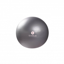 Gymball gris (65cm)