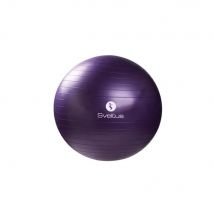 Gymball parme (75cm)