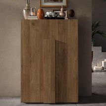 Jining Wooden Shoe Storage Cabinet With 2 Doors In Mercure