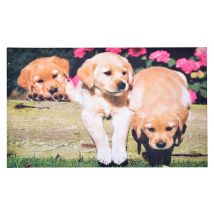 Gummi- Fussmatte Fussabtreter Hunde- Welpen 75x45cm