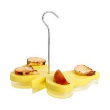 Futterschale Tränke für Schmetterlinge Schmetterlingstränke