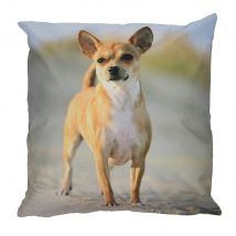 Outdoor Kissen Hundemotiv Gartenkissen Hund Welpe Wasserabweisend 40 x 40 cm