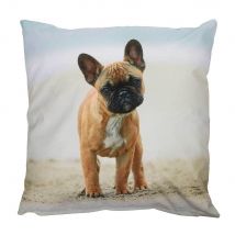 Outdoor Kissen Hundemotiv Dogge Gartenkissen Hund Wasserabweisend 40 x 40 cm