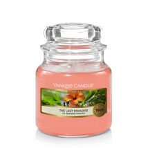 Yankee Candle Duftkerze The Last Paradise 104 g