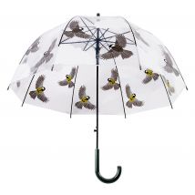 Regenschirm Vögel beidseitig Transparent Stockschirm Durchsichtig
