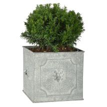 Pflanztopf Quadratisch Löwenkopf Pflanzkübel Eisen Grau Patiniert 24 cm