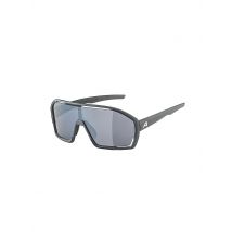 ALPINA Herren Radbrille Bonfire grau