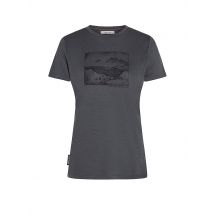 ICEBREAKER Damen Funktionsshirt Lake View 150 Tech-Lite grau | XS