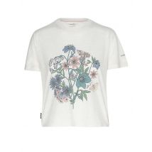 ICEBREAKER Damen Funktionsshirt Flora 150 Tech Lite beige | XS